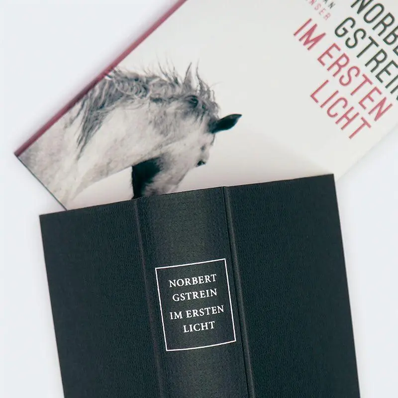 Bild: 9783446282971 | Im ersten Licht | Roman | Norbert Gstrein | Buch | 416 S. | Deutsch