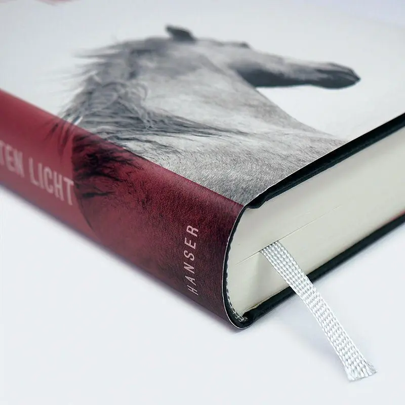 Bild: 9783446282971 | Im ersten Licht | Roman | Norbert Gstrein | Buch | 416 S. | Deutsch