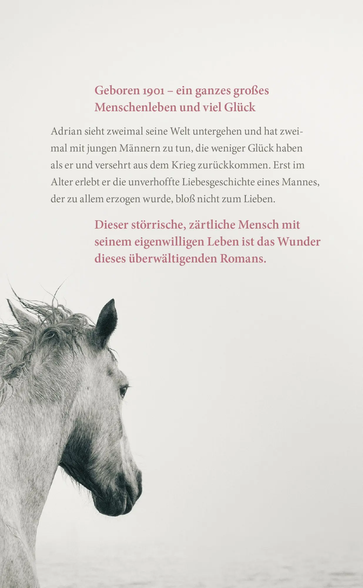 Bild: 9783446282971 | Im ersten Licht | Roman | Norbert Gstrein | Buch | 416 S. | Deutsch