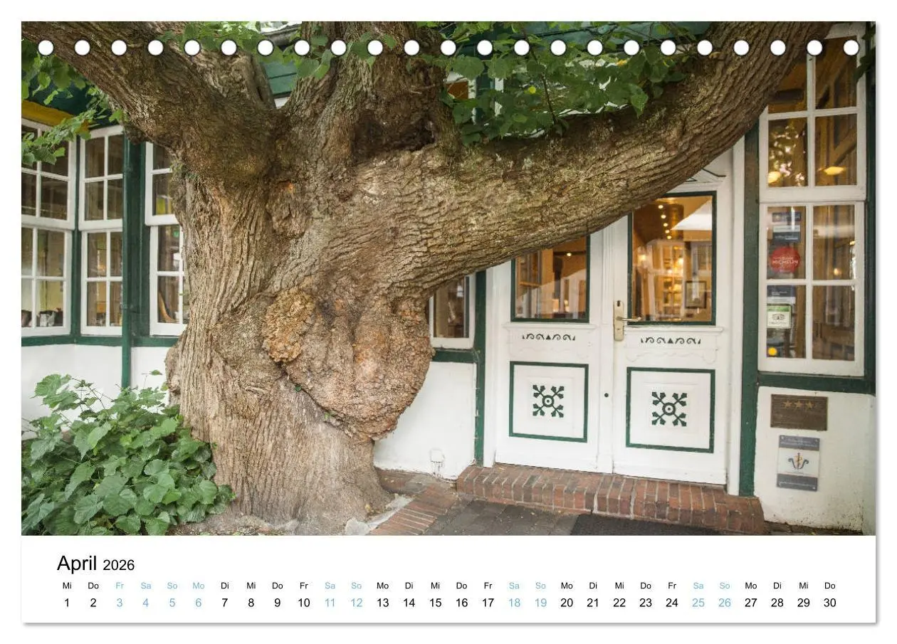 Bild: 9783457862971 | Lieblingsinsel Spiekeroog (Tischkalender 2026 DIN A5 quer),...
