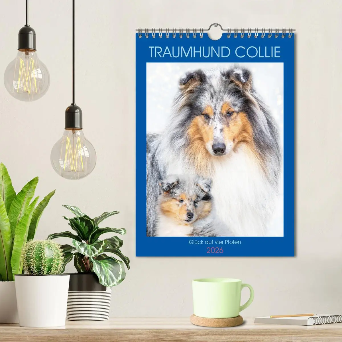 Bild: 9783516332971 | Traumhund Collie - Glück auf vier Pfoten (Wandkalender 2026 DIN A4...