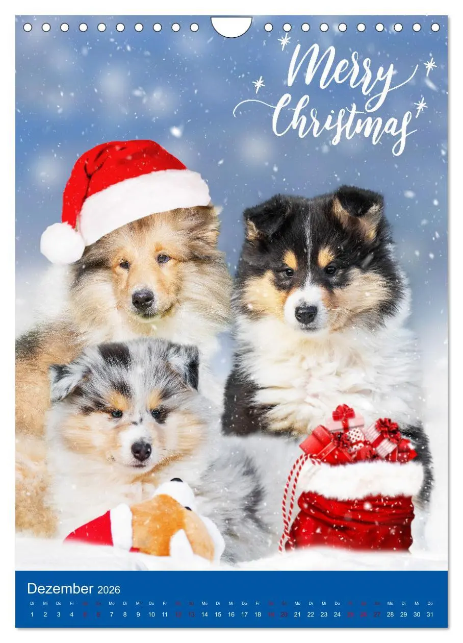 Bild: 9783516332971 | Traumhund Collie - Glück auf vier Pfoten (Wandkalender 2026 DIN A4...