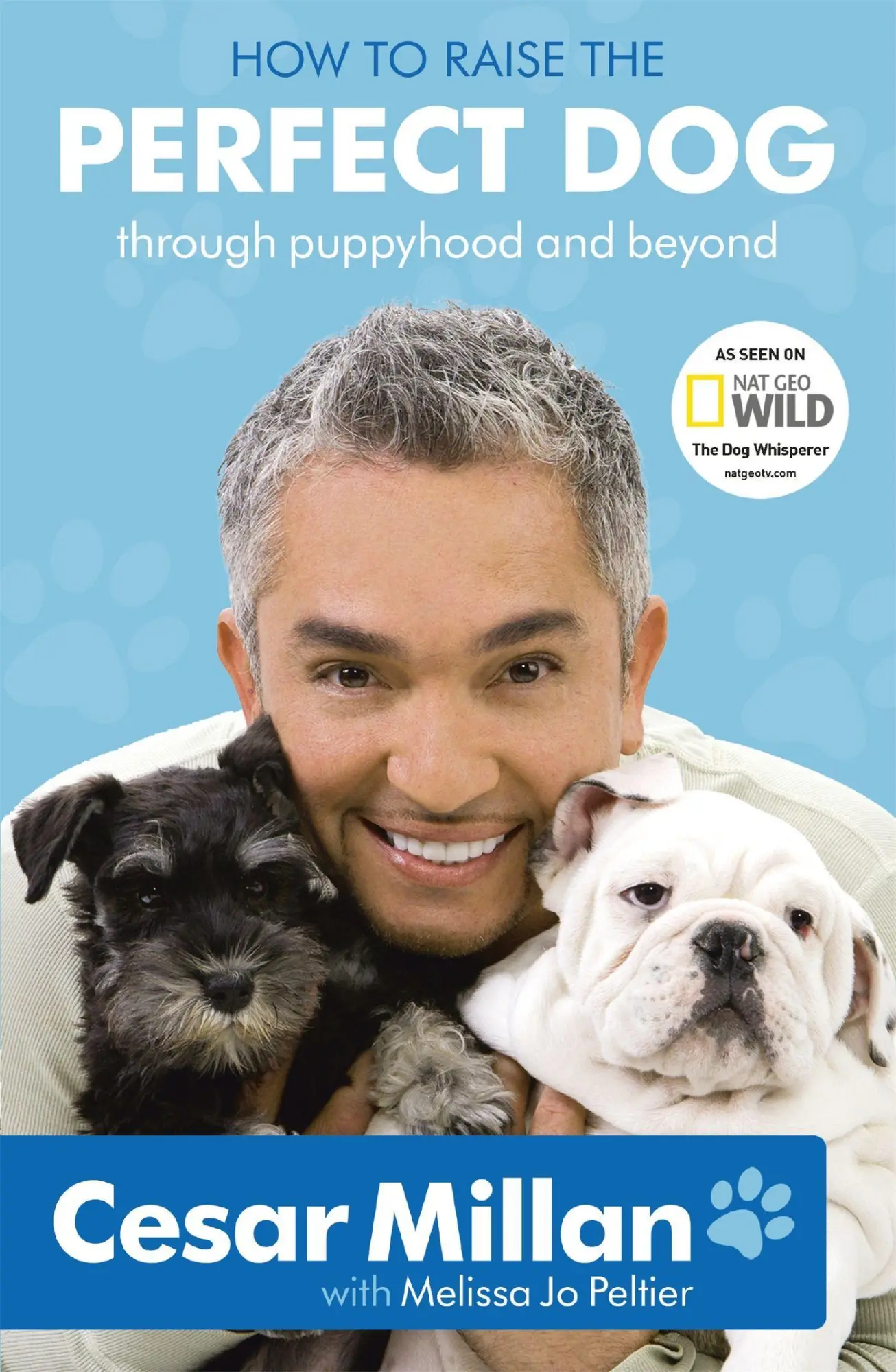 Cover: 9780340993071 | How to Raise the Perfect Dog | Cesar Millan | Taschenbuch | Englisch