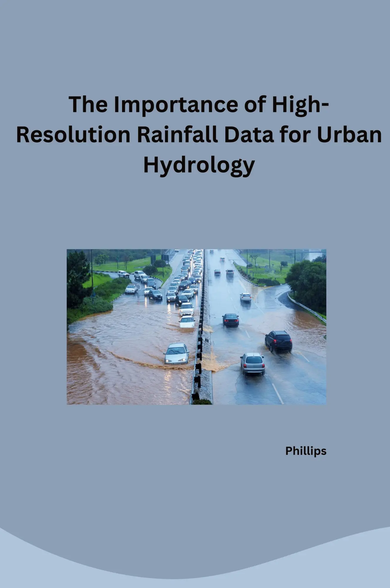 The Challenge of Time Finding High-Resolution Rainfall Data for Urban Areas - Phillips Kartoniert (TB)