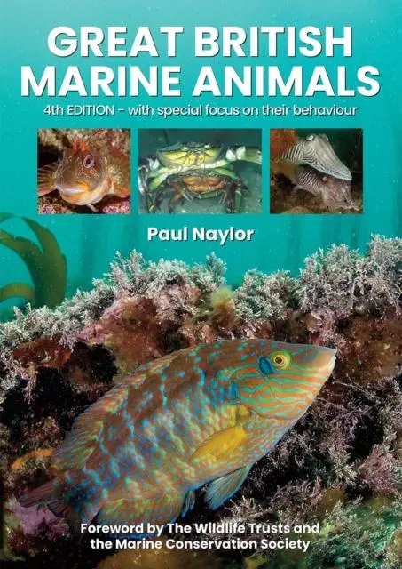 Cover: 9780952283171 | Great British Marine Animals | Paul Naylor | Taschenbuch | Englisch