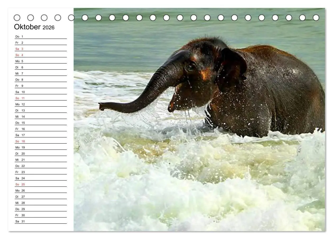 Bild: 9783516213171 | Elefanten - Wasserspaß am Strand (Tischkalender 2026 DIN A5 quer),...