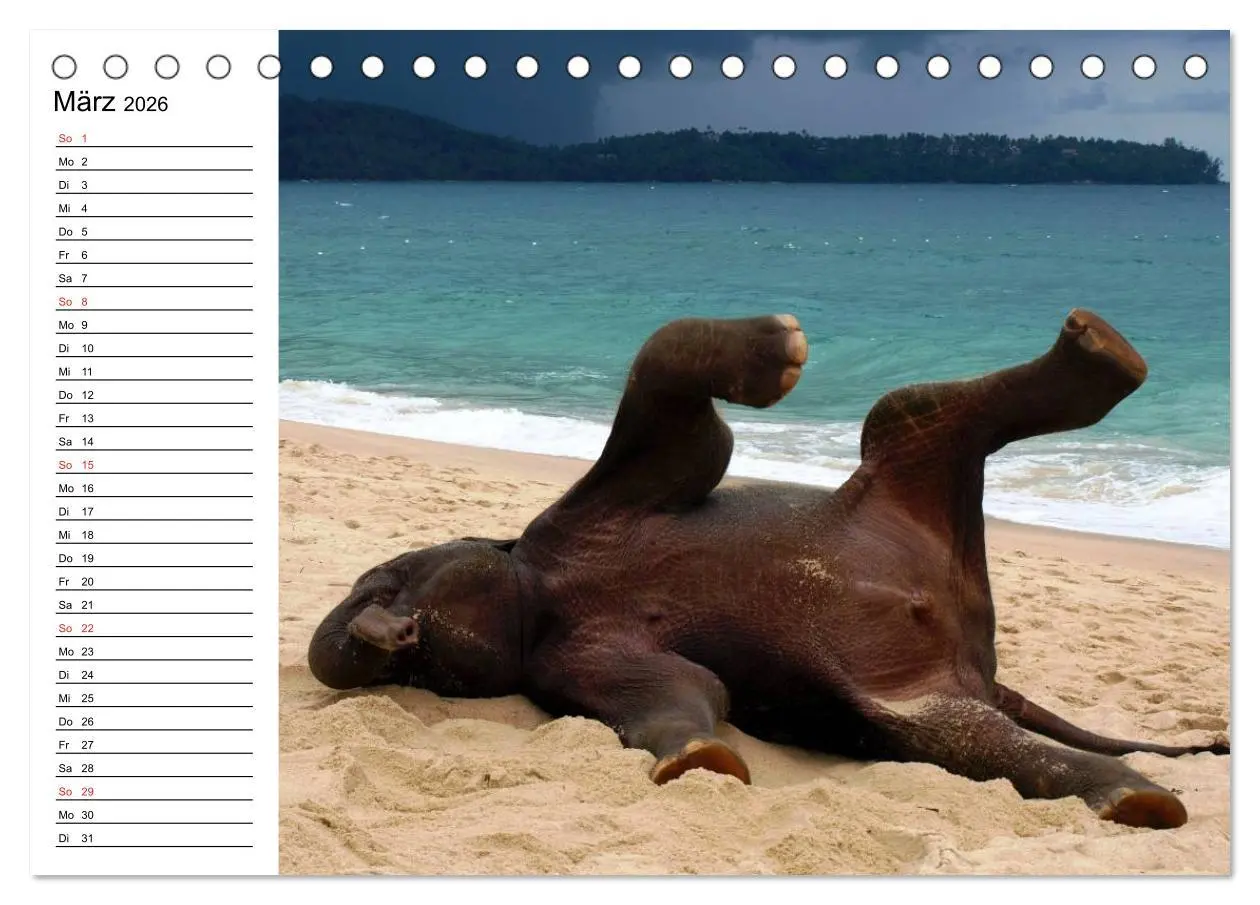 Bild: 9783516213171 | Elefanten - Wasserspaß am Strand (Tischkalender 2026 DIN A5 quer),...