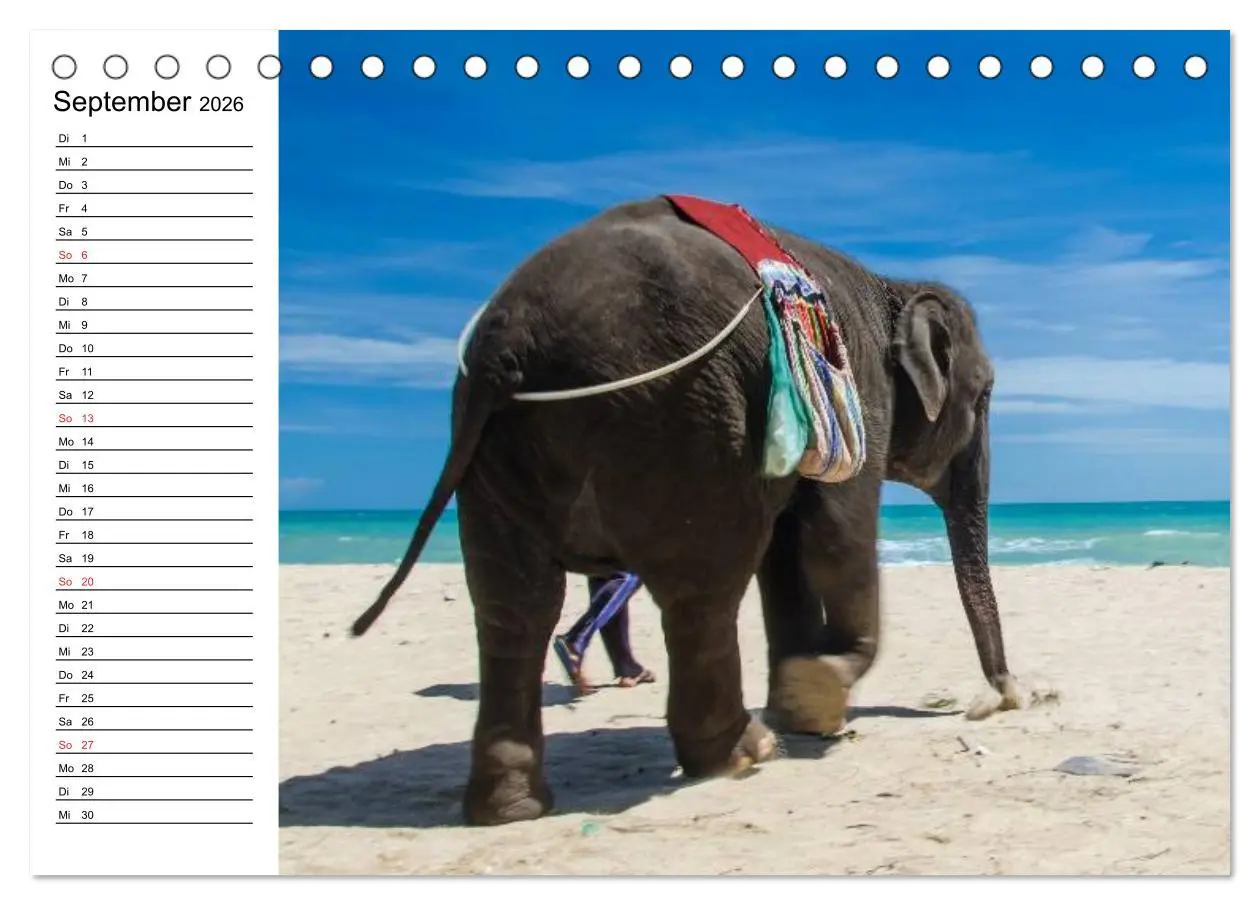 Bild: 9783516213171 | Elefanten - Wasserspaß am Strand (Tischkalender 2026 DIN A5 quer),...