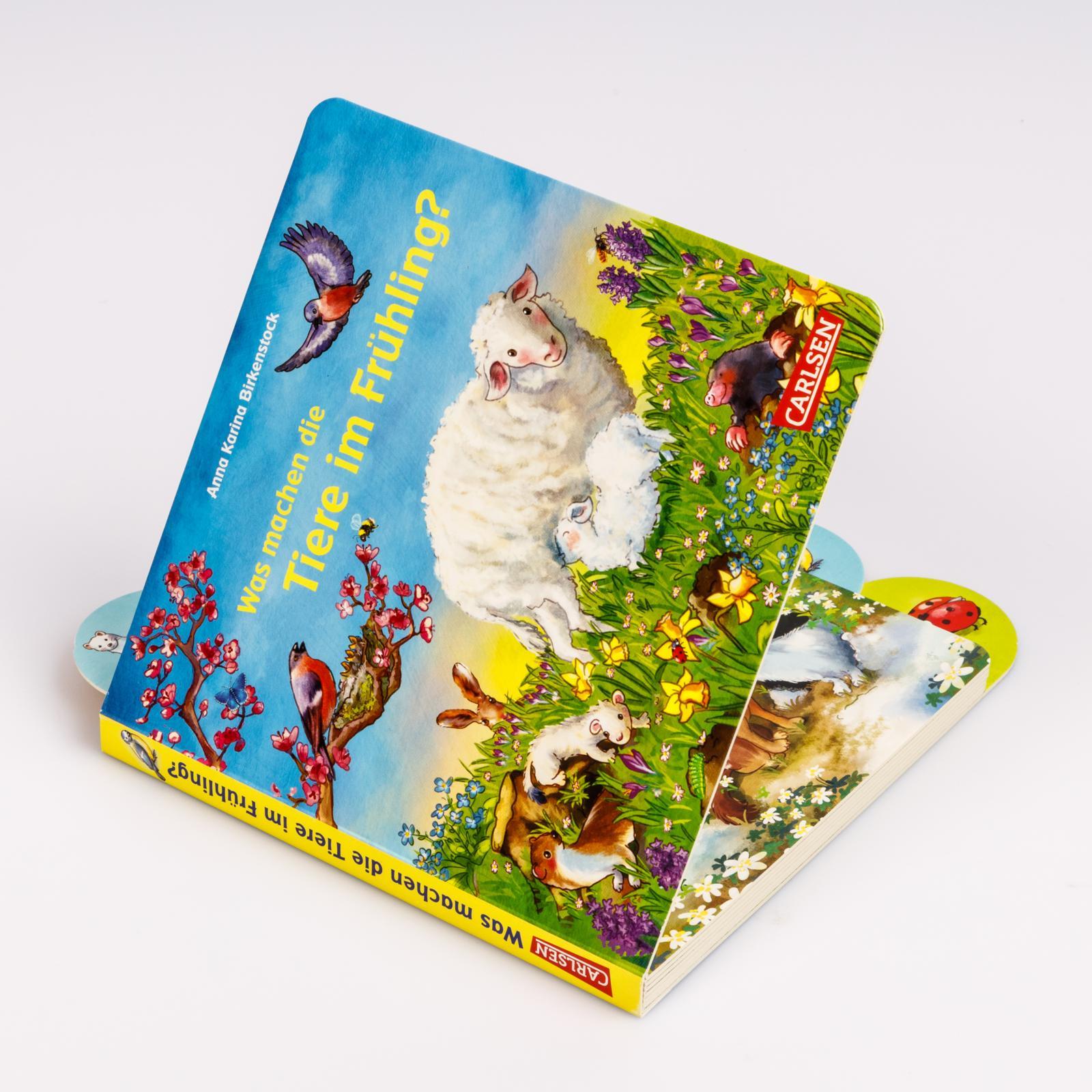 Bild: 9783551173171 | Was machen die Tiere im Frühling? | Anna Karina Birkenstock | Buch
