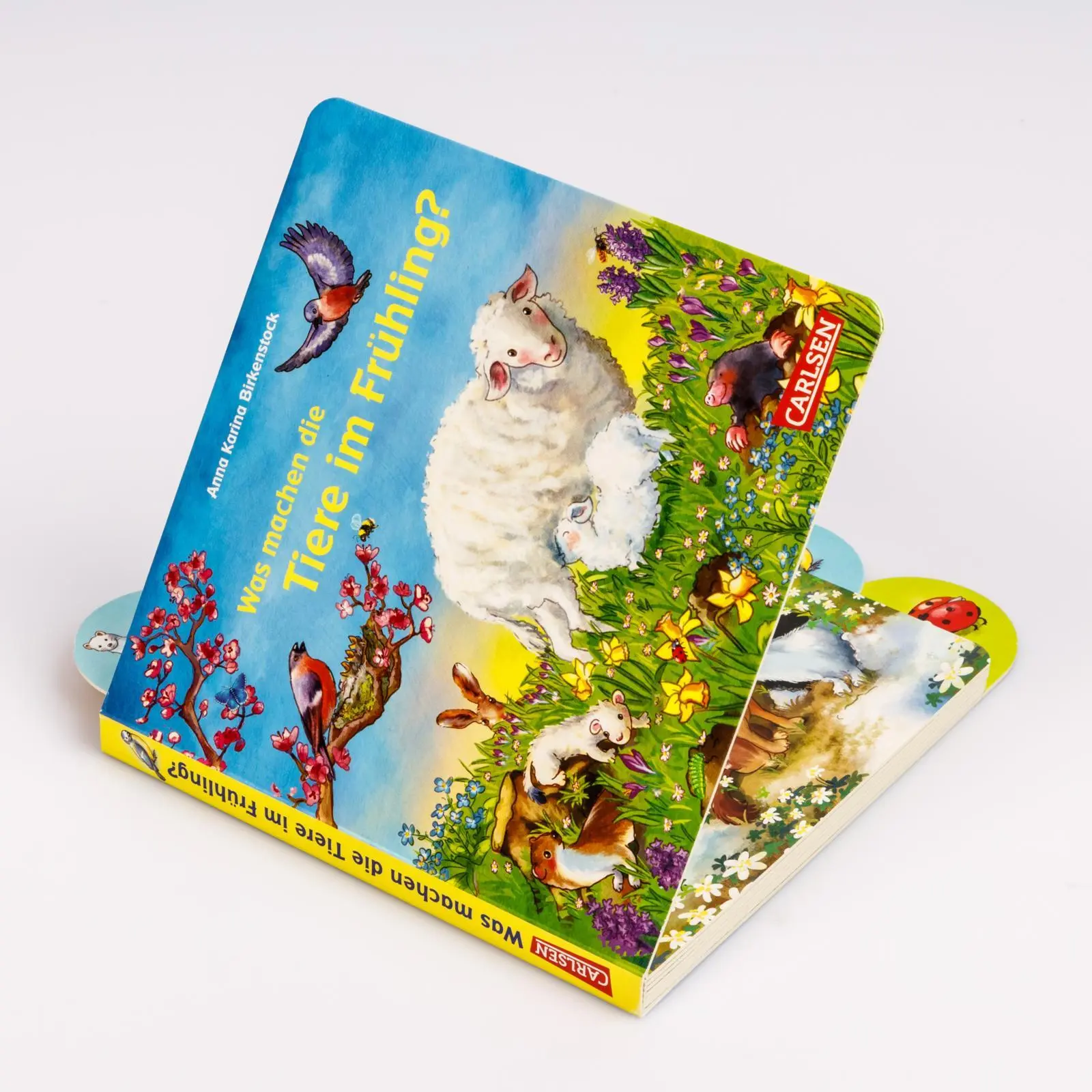 Bild: 9783551173171 | Was machen die Tiere im Frühling? | Anna Karina Birkenstock | Buch