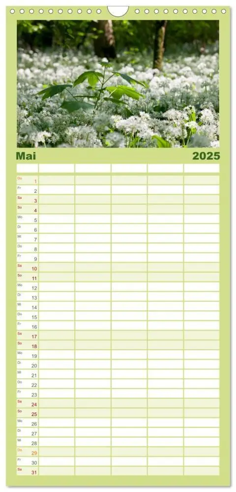 Bild: 9783457113271 | Familienplaner 2025 - Schwarzwald 2025 mit 5 Spalten (Wandkalender,...