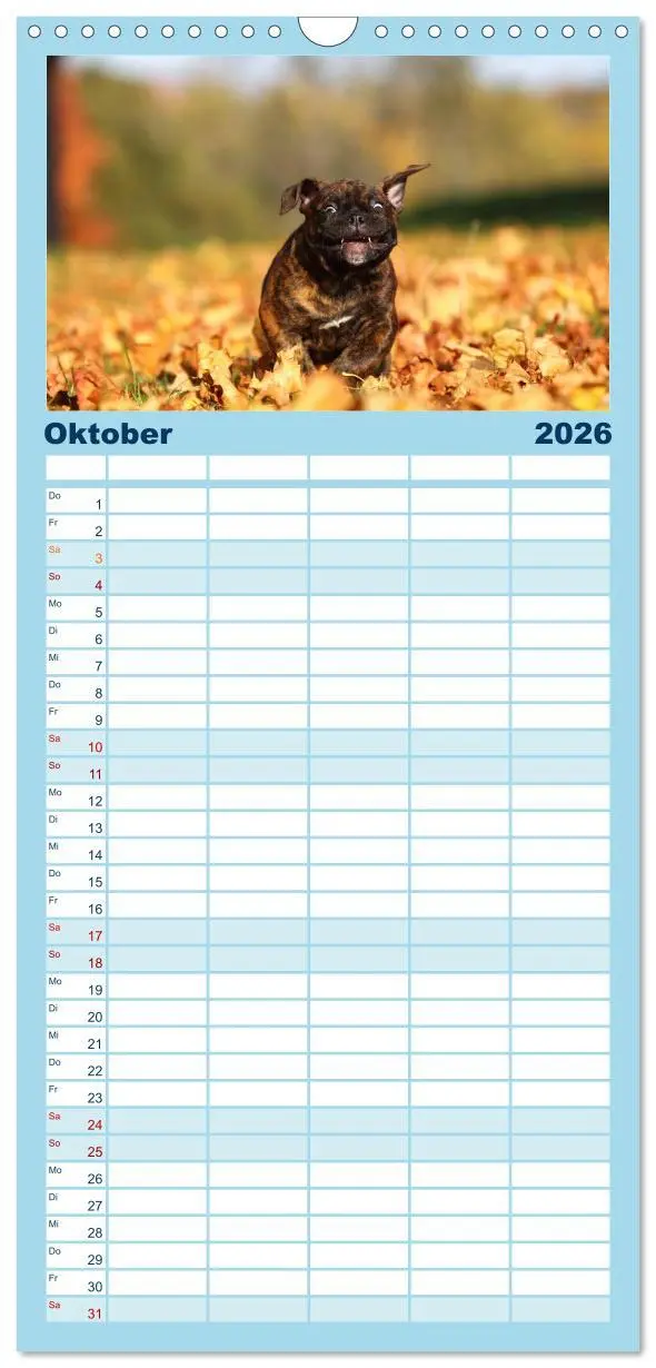 Bild: 9783516513271 | Familienplaner 2026 - Welpen - Puppies mit 5 Spalten (Wandkalender,...