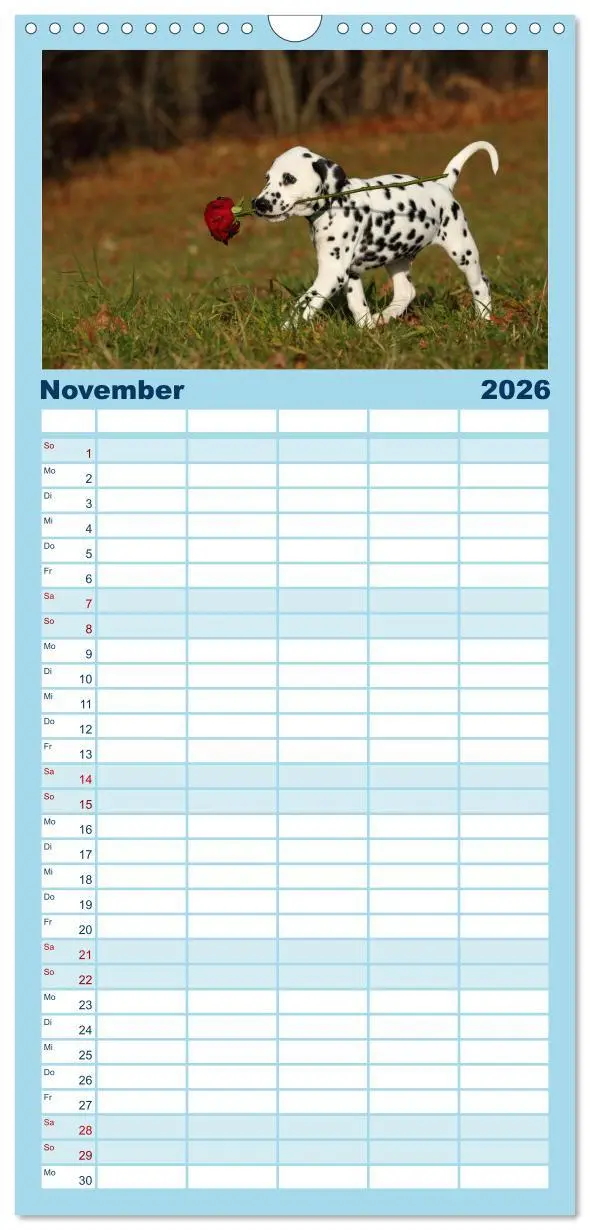 Bild: 9783516513271 | Familienplaner 2026 - Welpen - Puppies mit 5 Spalten (Wandkalender,...