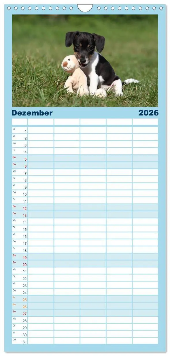 Bild: 9783516513271 | Familienplaner 2026 - Welpen - Puppies mit 5 Spalten (Wandkalender,...
