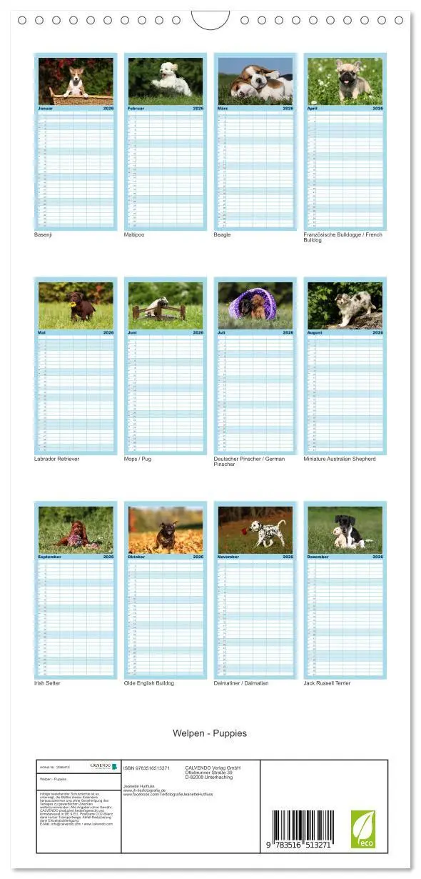 Bild: 9783516513271 | Familienplaner 2026 - Welpen - Puppies mit 5 Spalten (Wandkalender,...
