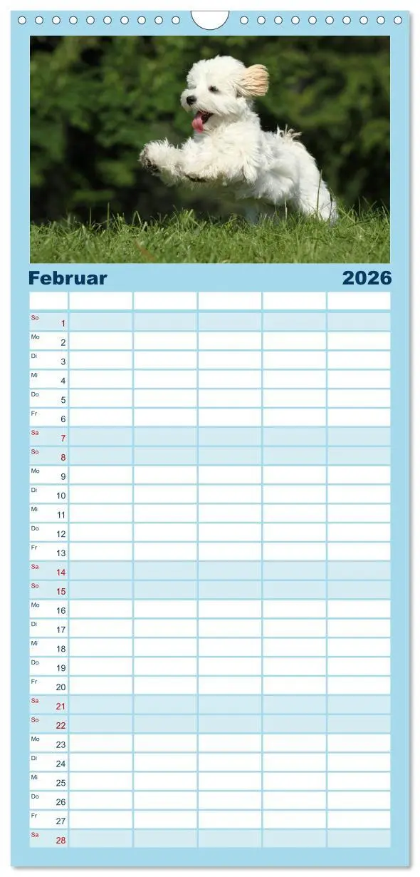 Bild: 9783516513271 | Familienplaner 2026 - Welpen - Puppies mit 5 Spalten (Wandkalender,...
