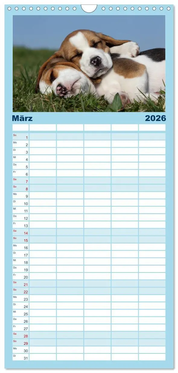 Bild: 9783516513271 | Familienplaner 2026 - Welpen - Puppies mit 5 Spalten (Wandkalender,...