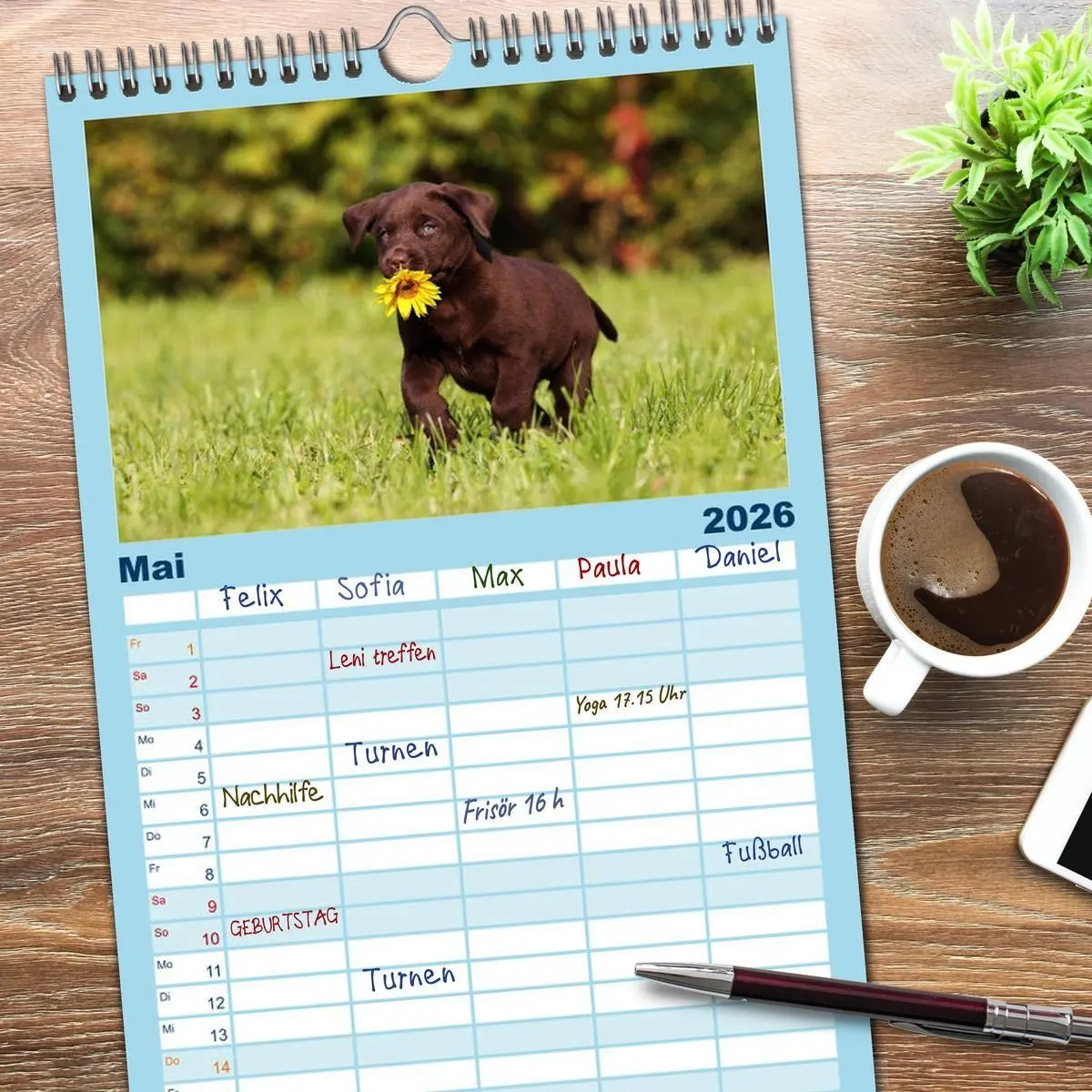 Bild: 9783516513271 | Familienplaner 2026 - Welpen - Puppies mit 5 Spalten (Wandkalender,...