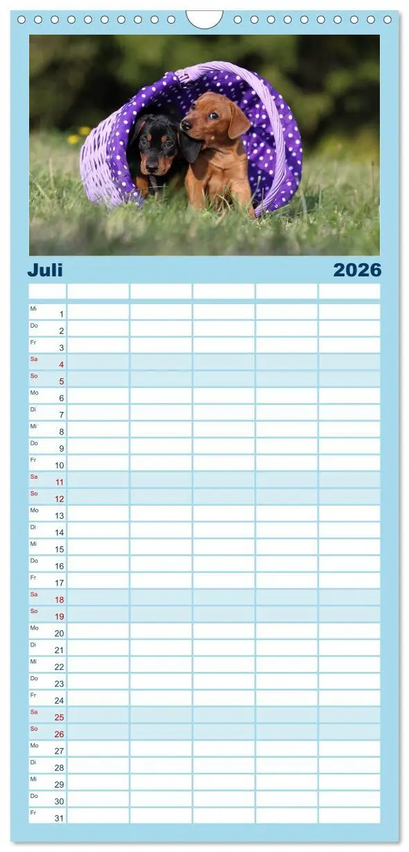 Bild: 9783516513271 | Familienplaner 2026 - Welpen - Puppies mit 5 Spalten (Wandkalender,...