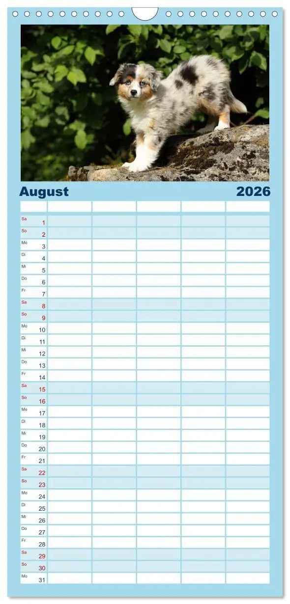 Bild: 9783516513271 | Familienplaner 2026 - Welpen - Puppies mit 5 Spalten (Wandkalender,...