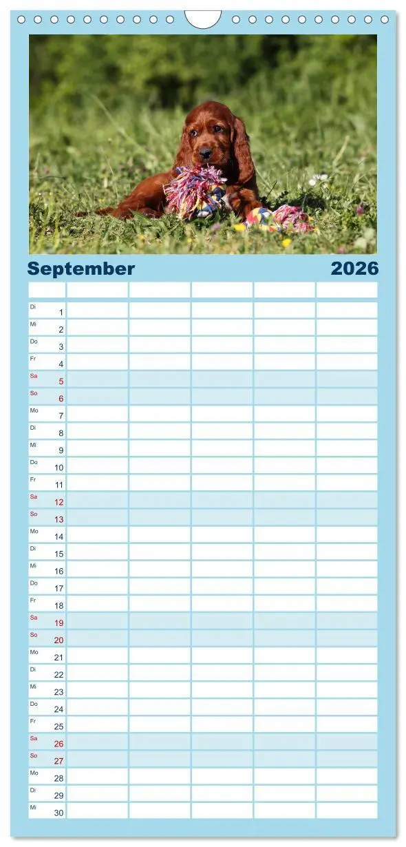 Bild: 9783516513271 | Familienplaner 2026 - Welpen - Puppies mit 5 Spalten (Wandkalender,...