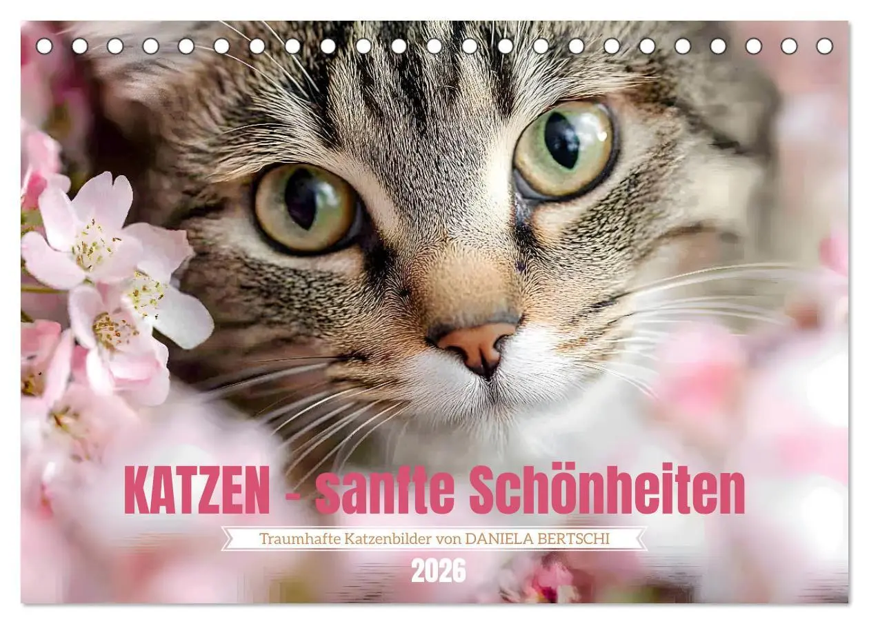 Cover: 9783457343371 | Katzen - sanfte Schönheiten (Tischkalender 2026 DIN A5 quer),...