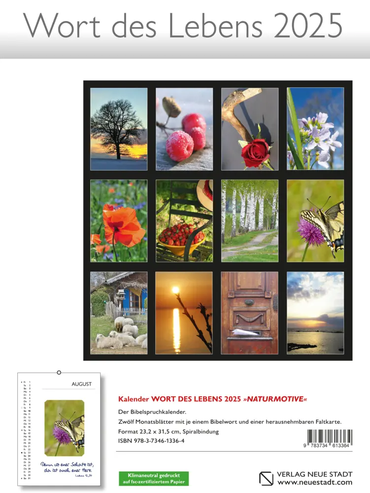 Bild: 9783734613371 | Wort des Lebens 2025 - Der Bibelspruchkalender | Kalender | Deutsch