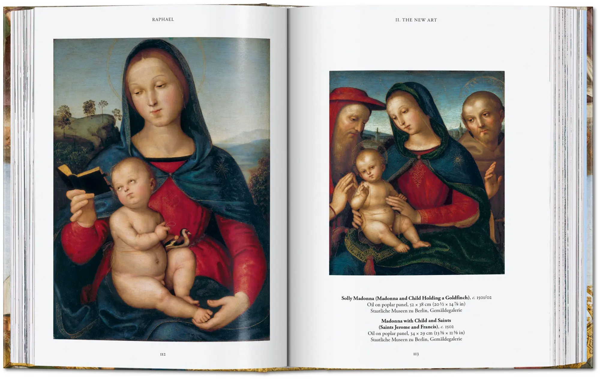Bild: 9783754403471 | Raphael | Paintings, Frescoes, Tapestries. 45th Ed. | Michael Rohlmann