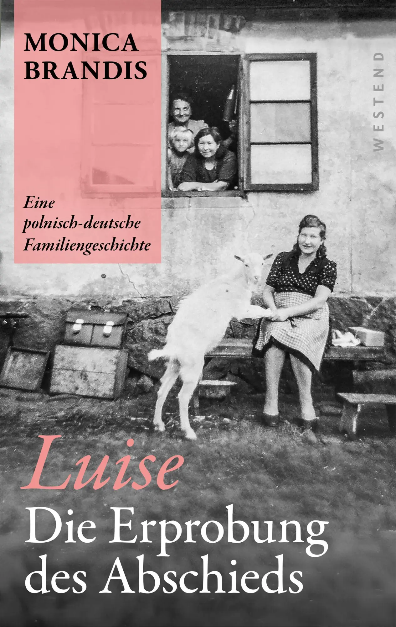Cover: 9783987913471 | Luise. Die Erprobung des Abschieds | Monica Brandis | Taschenbuch