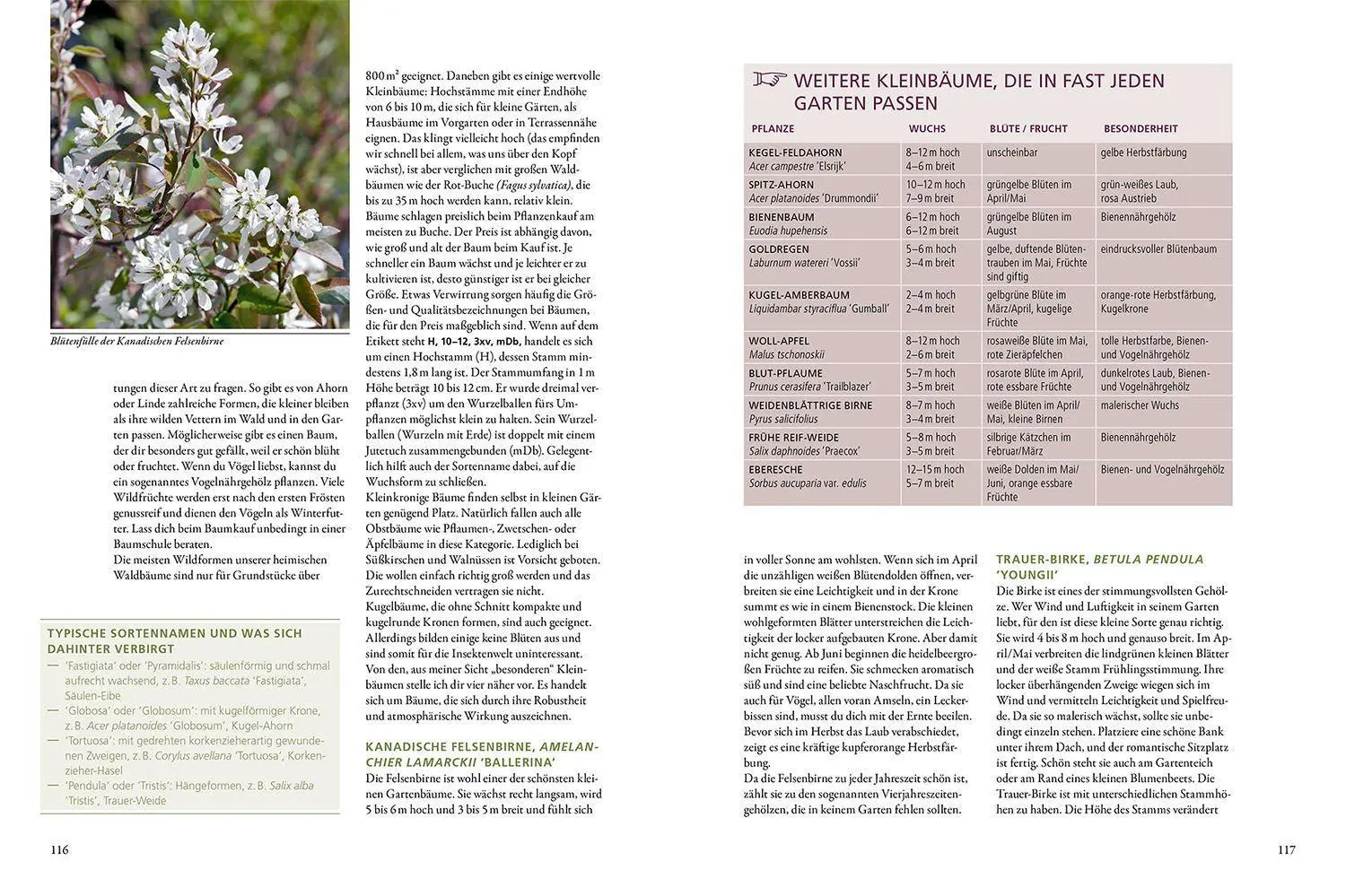 Bild: 9783440173671 | Mit dem Garten gemeinsam wachsen | Annette Born | Buch | 176 S. | 2022