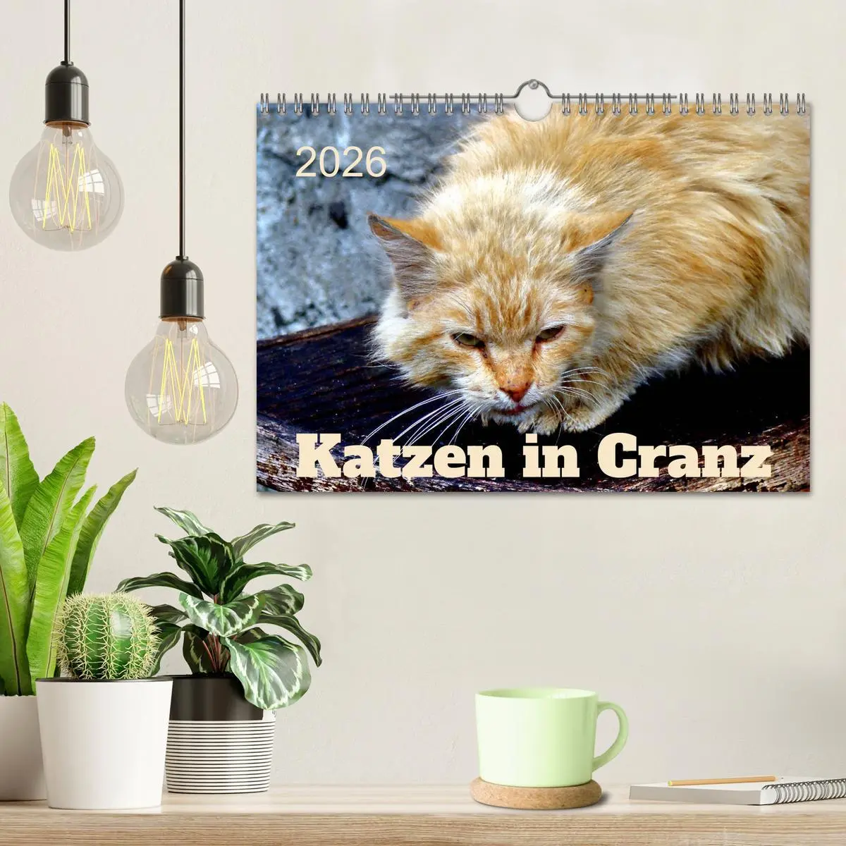 Bild: 9783457623671 | Katzen in Cranz (Wandkalender 2026 DIN A4 quer), CALVENDO...