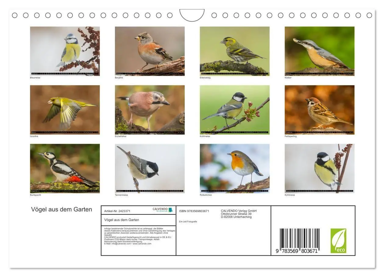 Bild: 9783569803671 | Vögel aus dem Garten (Wandkalender 2027 DIN A4 quer), CALVENDO...