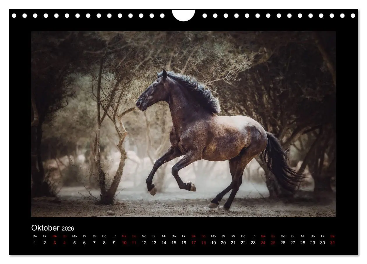 Bild: 9783457923771 | Die Faszinierende Welt der Pferde (Wandkalender 2026 DIN A4 quer),...