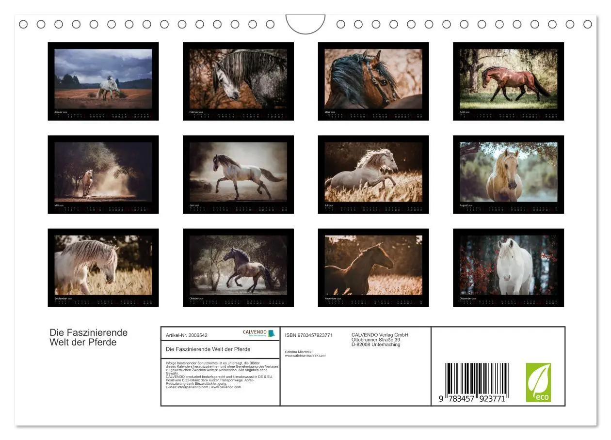 Bild: 9783457923771 | Die Faszinierende Welt der Pferde (Wandkalender 2026 DIN A4 quer),...