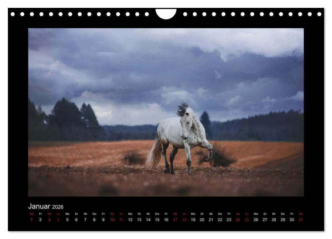 Bild: 9783457923771 | Die Faszinierende Welt der Pferde (Wandkalender 2026 DIN A4 quer),...
