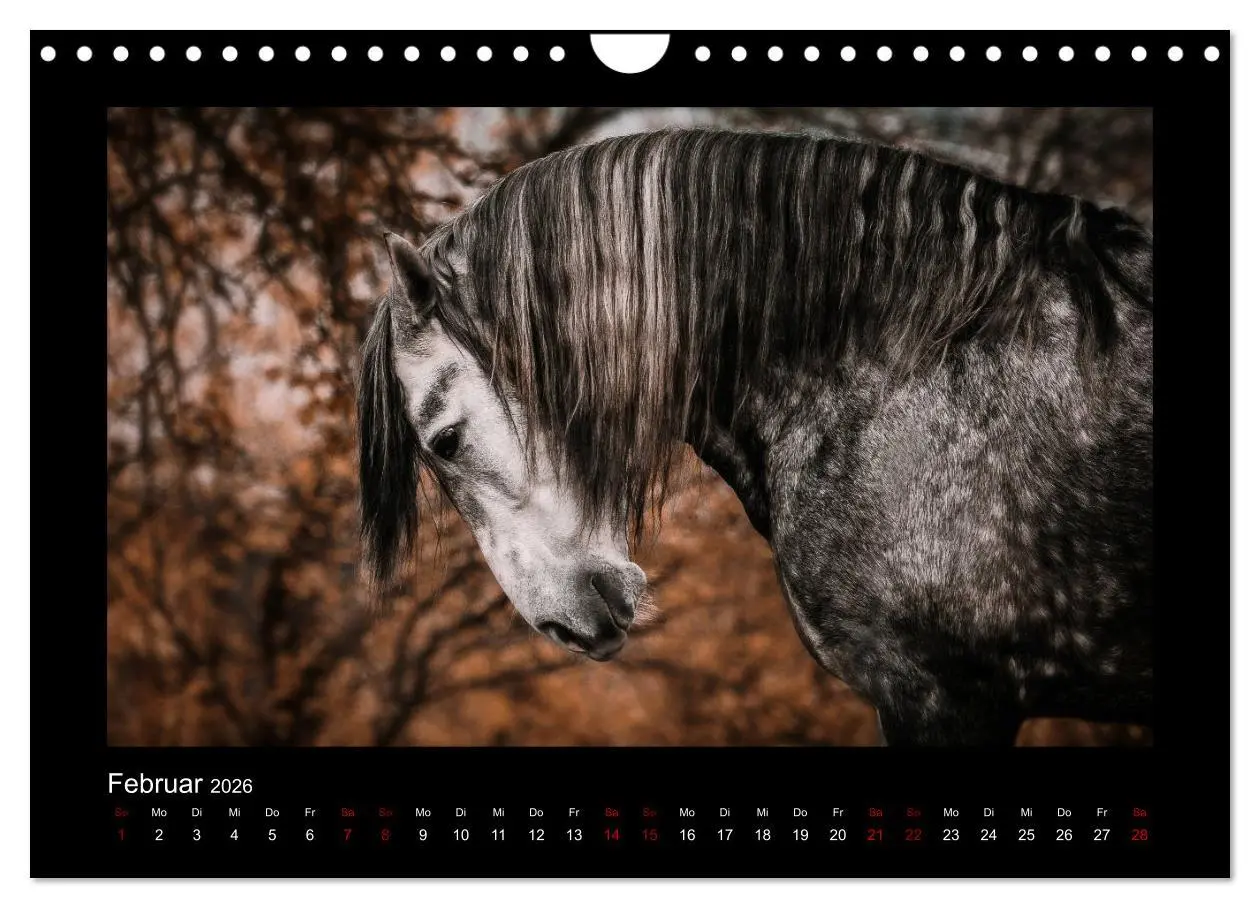 Bild: 9783457923771 | Die Faszinierende Welt der Pferde (Wandkalender 2026 DIN A4 quer),...