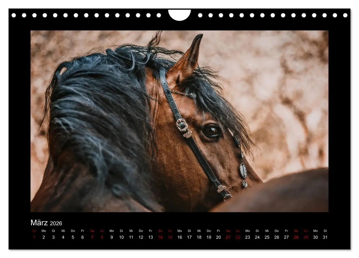Bild: 9783457923771 | Die Faszinierende Welt der Pferde (Wandkalender 2026 DIN A4 quer),...