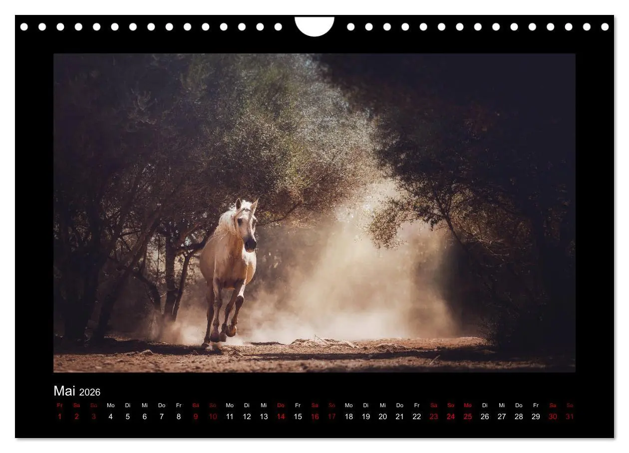 Bild: 9783457923771 | Die Faszinierende Welt der Pferde (Wandkalender 2026 DIN A4 quer),...