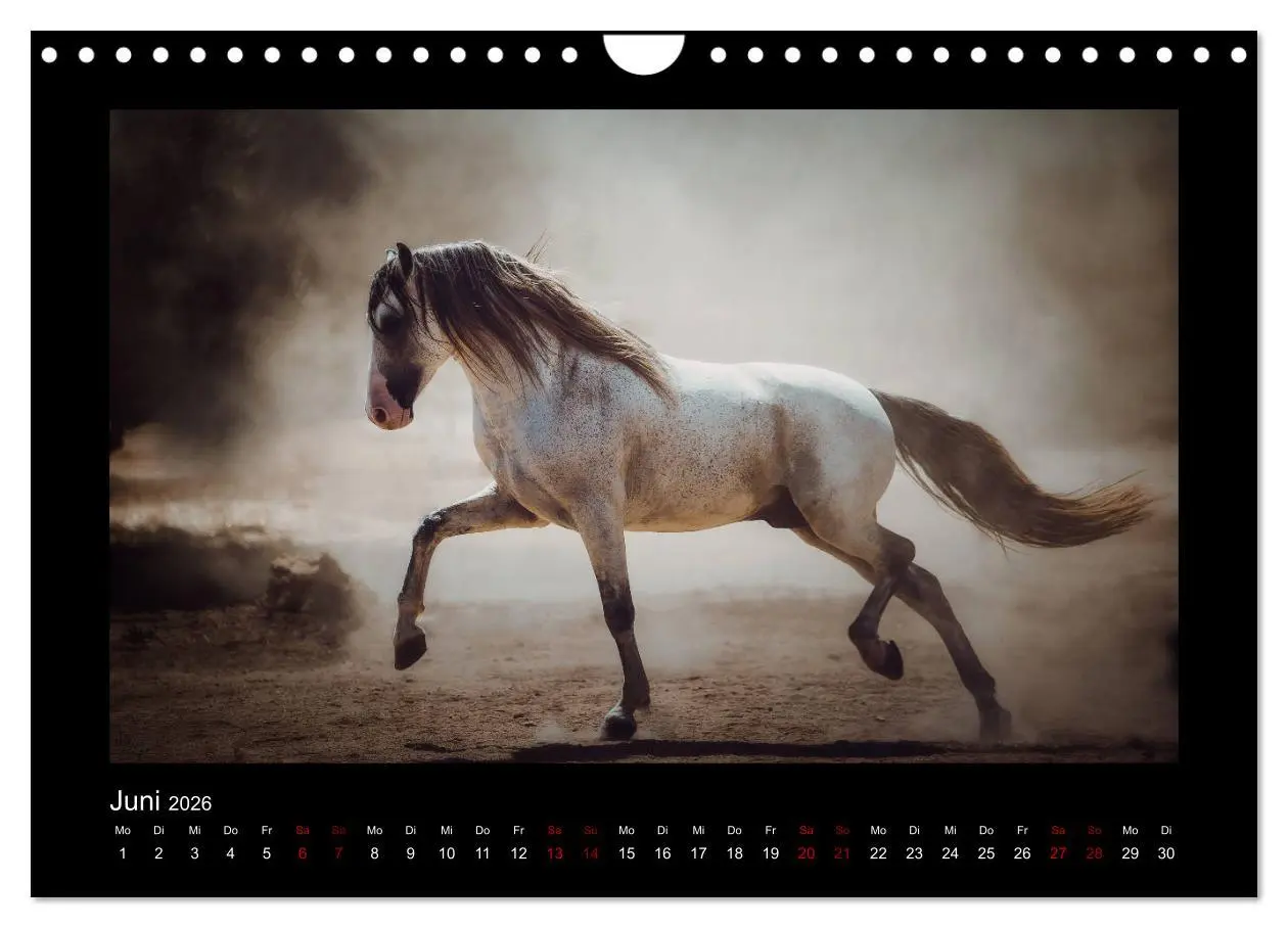 Bild: 9783457923771 | Die Faszinierende Welt der Pferde (Wandkalender 2026 DIN A4 quer),...