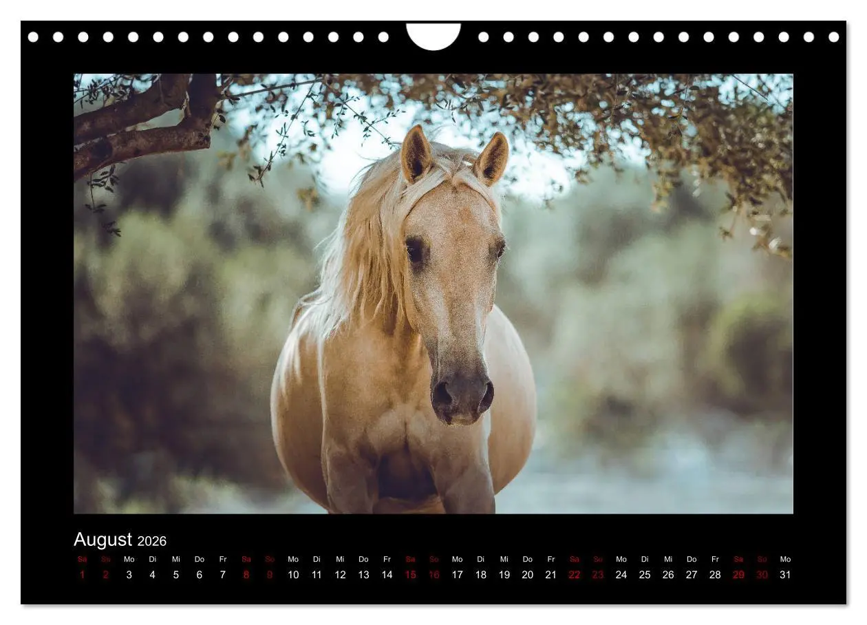 Bild: 9783457923771 | Die Faszinierende Welt der Pferde (Wandkalender 2026 DIN A4 quer),...