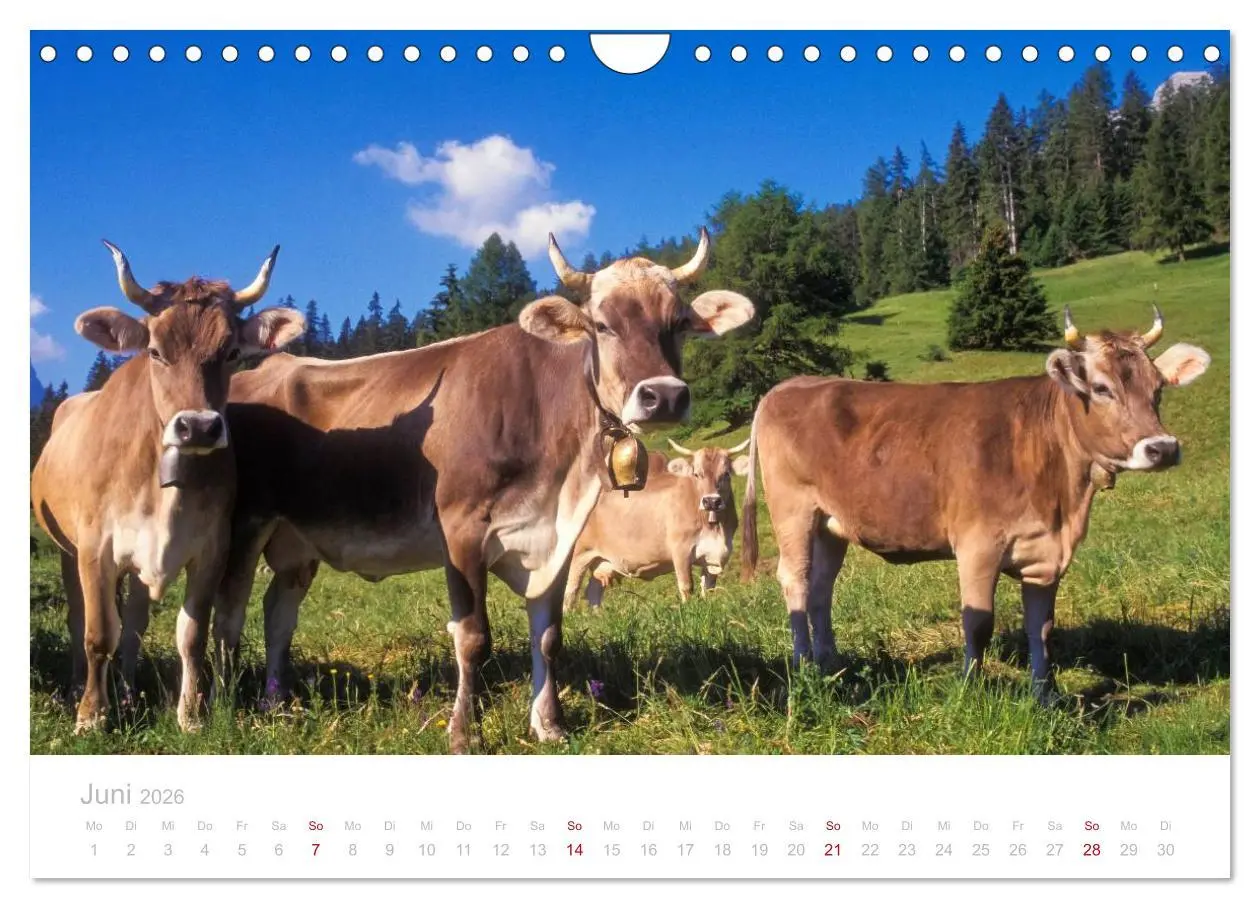 Bild: 9783516173871 | Graubünden Engadin 2026 (Wandkalender 2026 DIN A4 quer), CALVENDO...