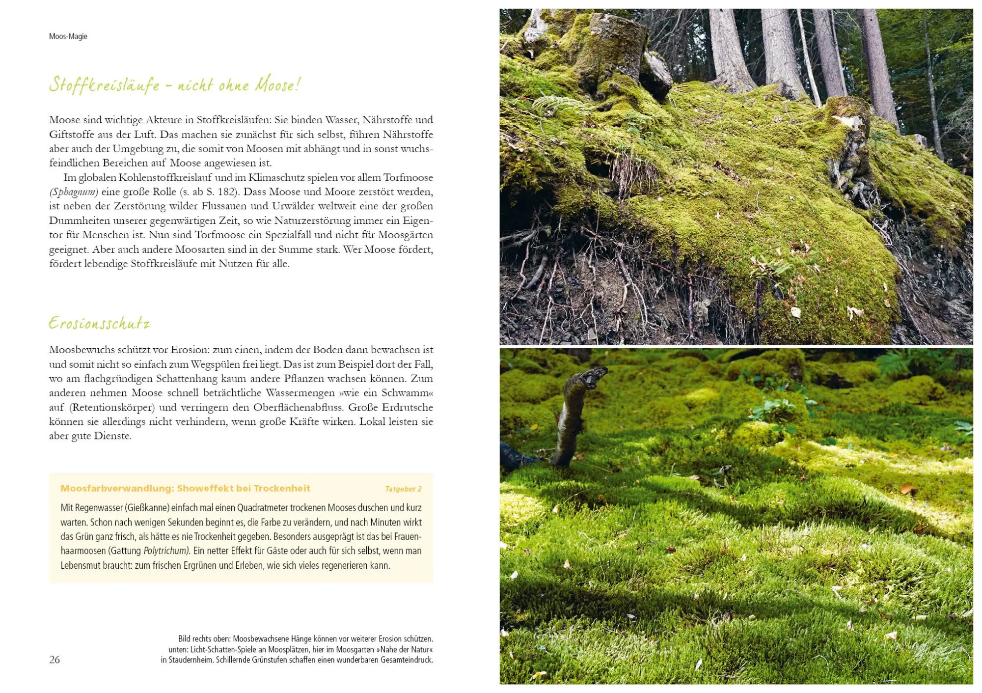 Bild: 9783895663871 | Der Moosgarten | Michael Altmoos | Buch | 208 S. | Deutsch | 2019