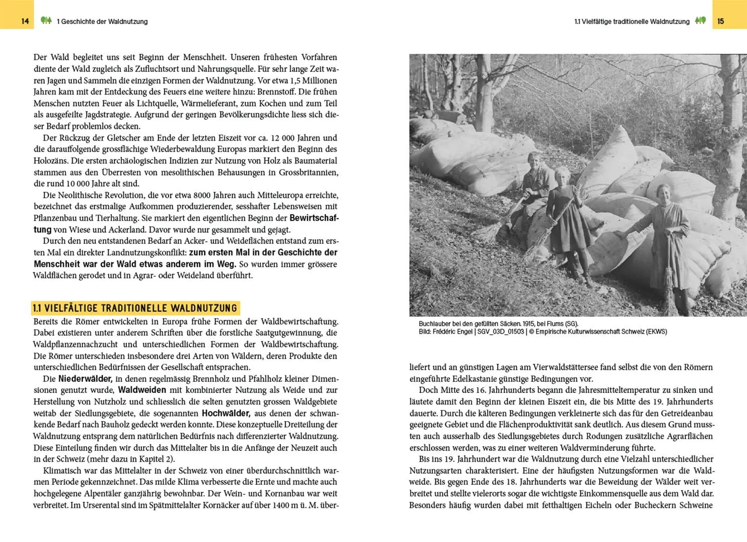 Bild: 9783258083971 | Waldbewirtschaftung in der Schweiz | Julian Muhmenthaler | Buch | 2025