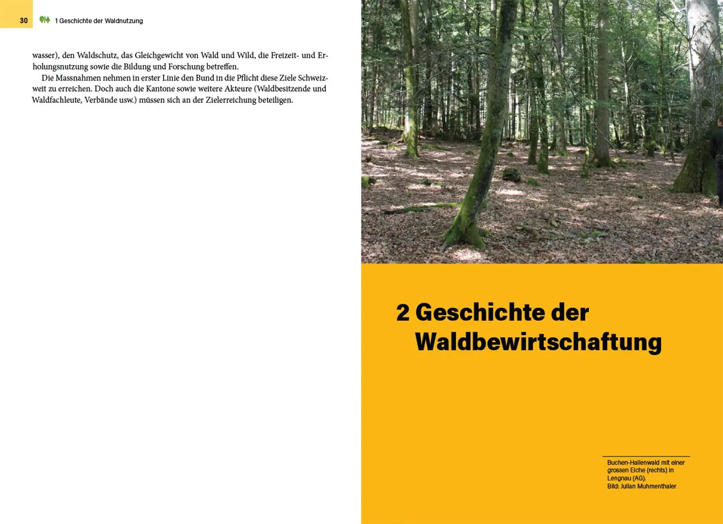 Bild: 9783258083971 | Waldbewirtschaftung in der Schweiz | Julian Muhmenthaler | Buch | 2025