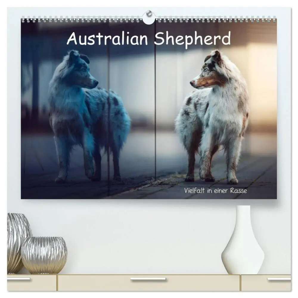 Cover: 9783457693971 | Australian Shepherd - Vielfalt in einer Rasse (hochwertiger Premium...