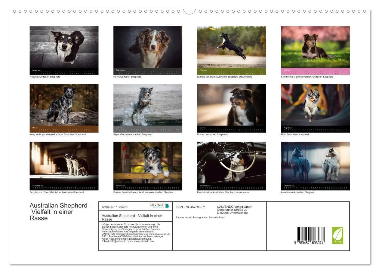 Bild: 9783457693971 | Australian Shepherd - Vielfalt in einer Rasse (hochwertiger Premium...