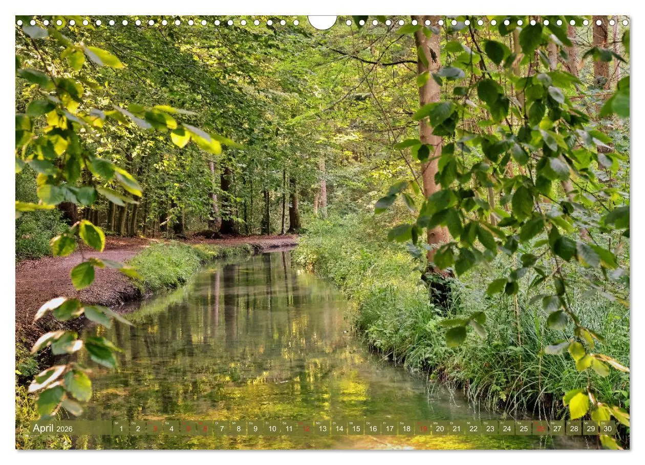 Bild: 9783457763971 | Augsburg - Stadt des Wassers zwischen Lech und Wertach...