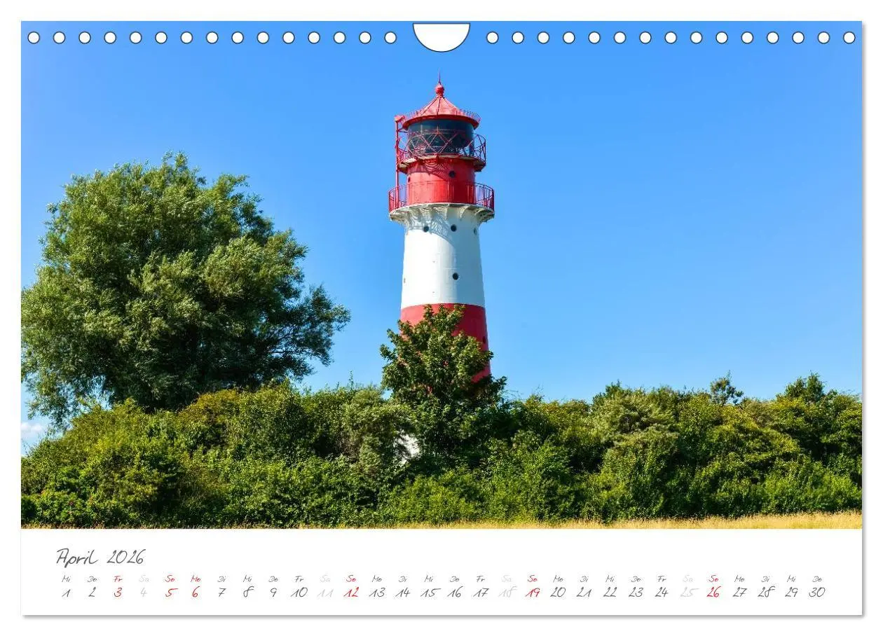 Bild: 9783516163971 | "Landarzt" - Plätze an Schlei und Ostsee (Wandkalender 2026 DIN A4...