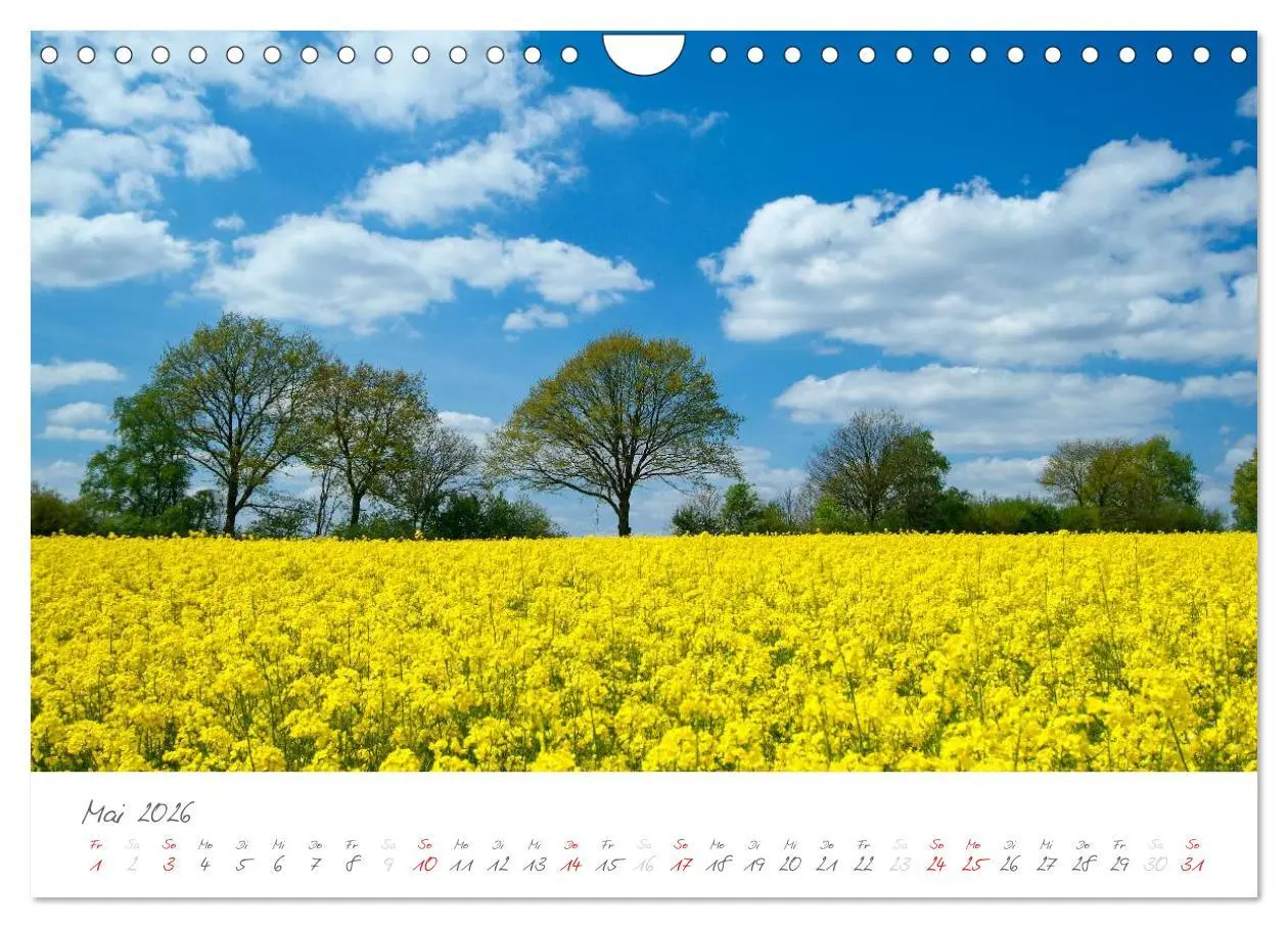 Bild: 9783516163971 | "Landarzt" - Plätze an Schlei und Ostsee (Wandkalender 2026 DIN A4...