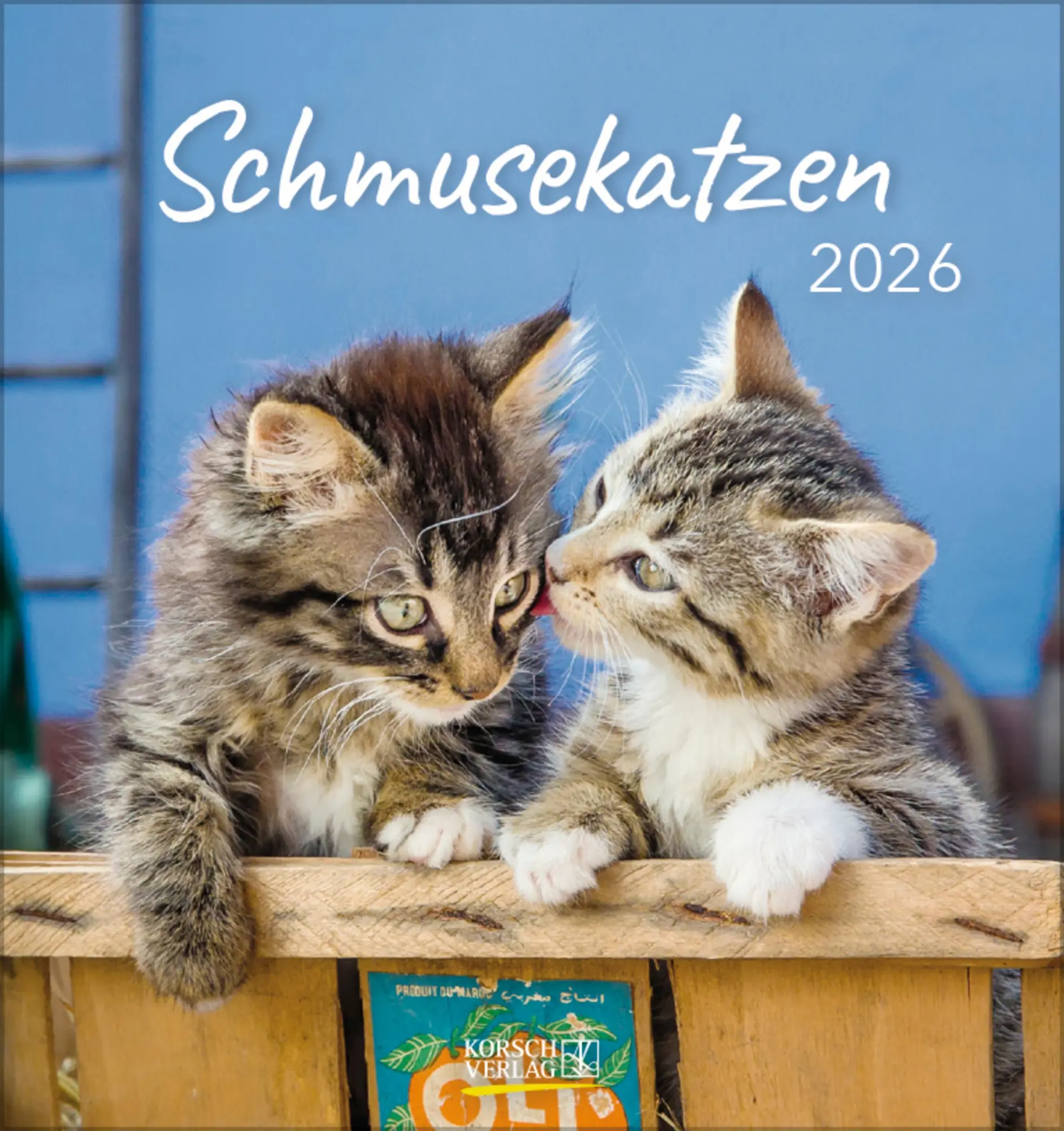 Cover: 9783731884071 | Schmusekatzen 2026 | aufstellbarer Postkartenkalender | Verlag Korsch